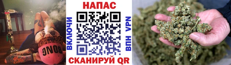 Сколько стоит Котовск Псилоцибиновые грибы  МЕТАДОН  Конопля  КОКАИН  Меф 