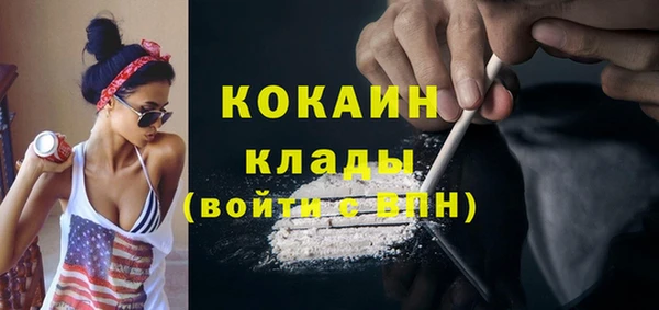 дживик Богородск