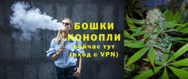 дживик Богородск