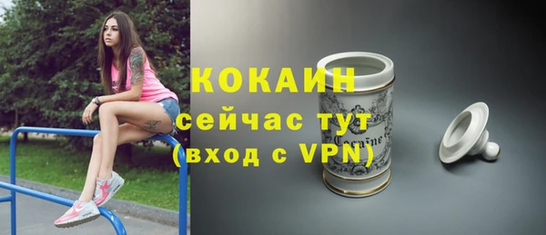 дживик Богородск