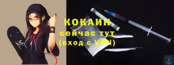 дживик Богородск