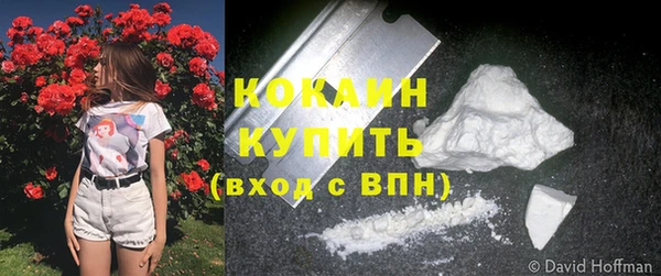 дживик Богородск