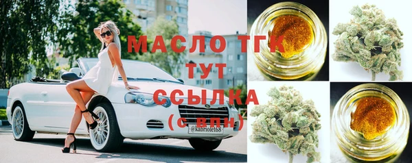 дживик Богородск