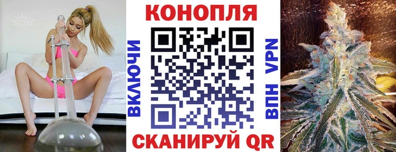Бошки марихуана SATIVA & INDICA  Котовск 